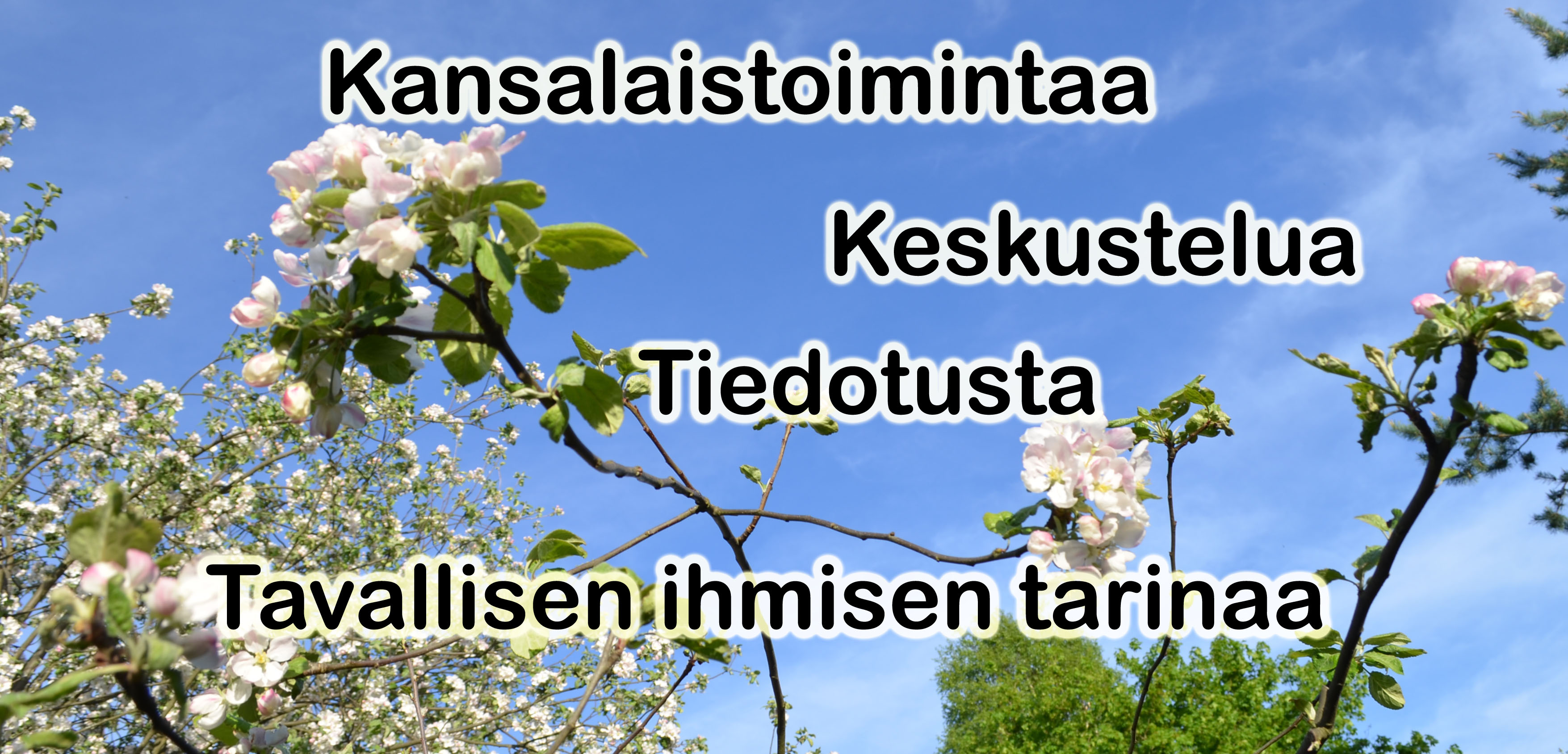 Sivutie ylio kesa 1 1 kopio